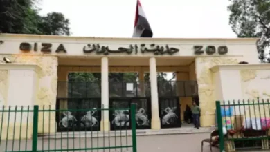Photo of اسعار تذاكر حديقة الحيوان الجديدة في مصر ومواعيد الدخول